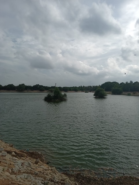Thirumanahalli Lake